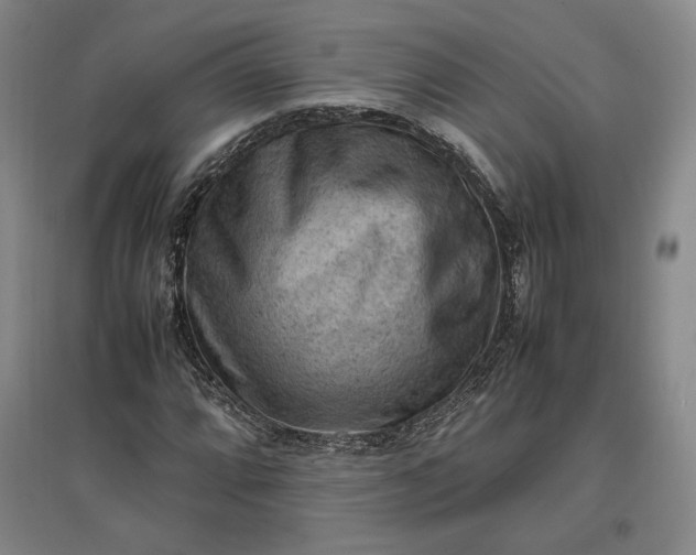 X0000096941064200802221315