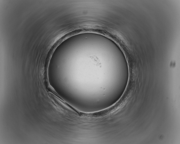 X0000096941065200802221315