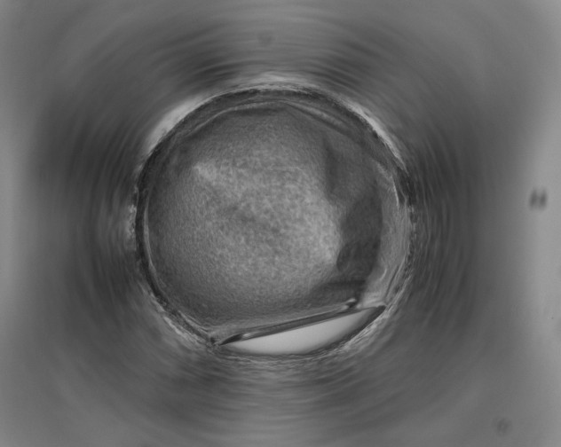 X0000096941066200802221315