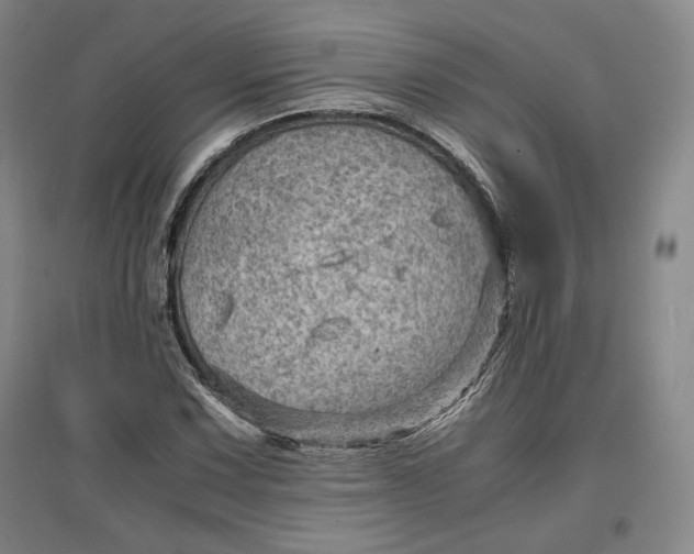 X0000096941067200802221315