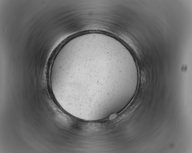 X0000096941068200802221315