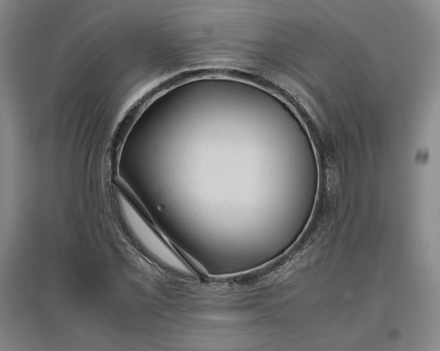 X0000096941069200802221315