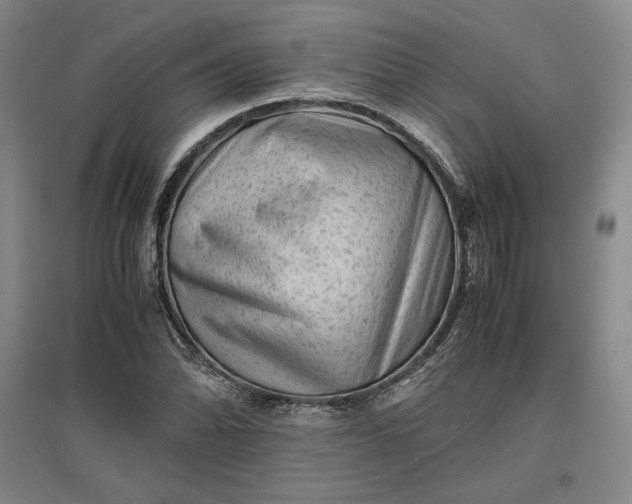 X0000096941070200802221315