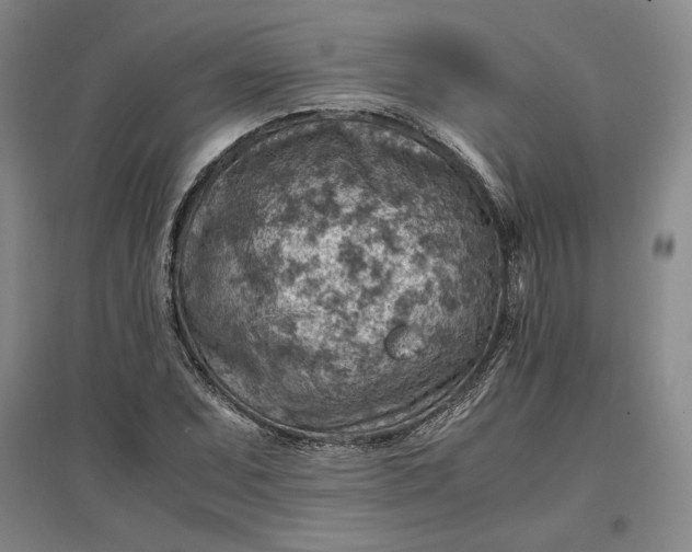 X0000096941071200802221315