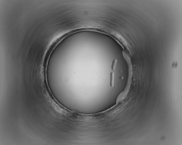 X0000096941072200802221315