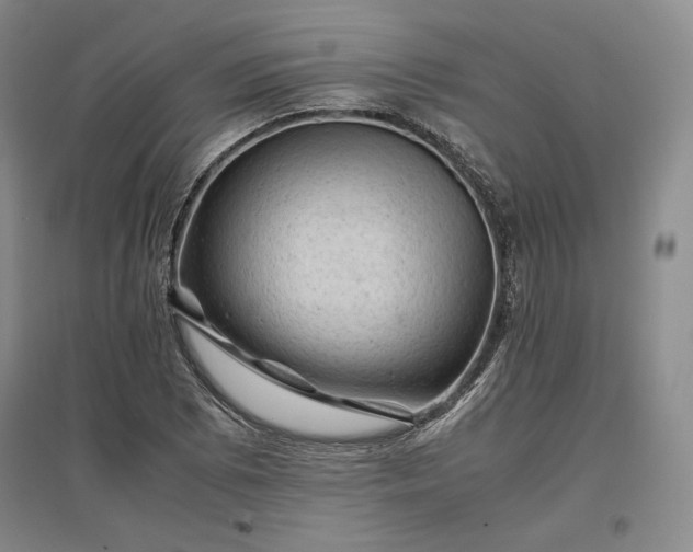 X0000096941073200802221315