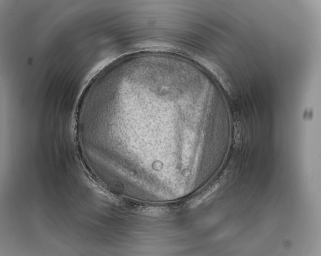 X0000096941074200802221315