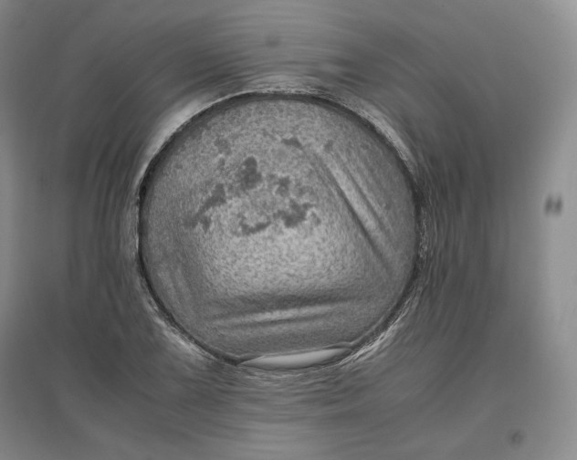 X0000096941075200802221315