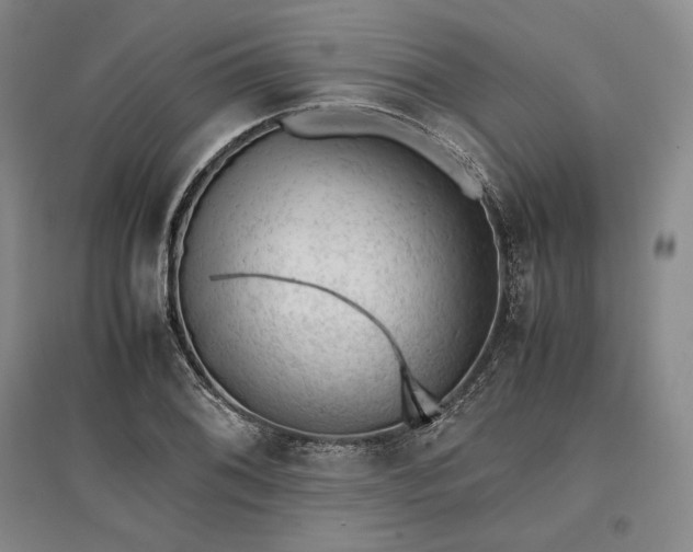 X0000096941076200802221315