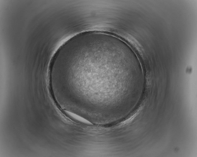 X0000096941077200802221315