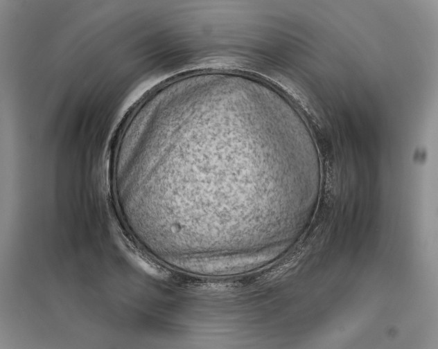 X0000096941078200802221315