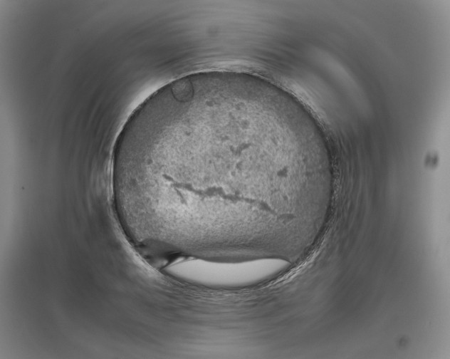 X0000096941079200802221315