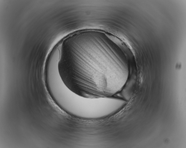 X0000096941080200802221315