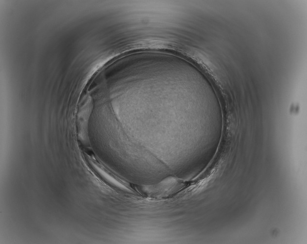 X0000096941081200802221315