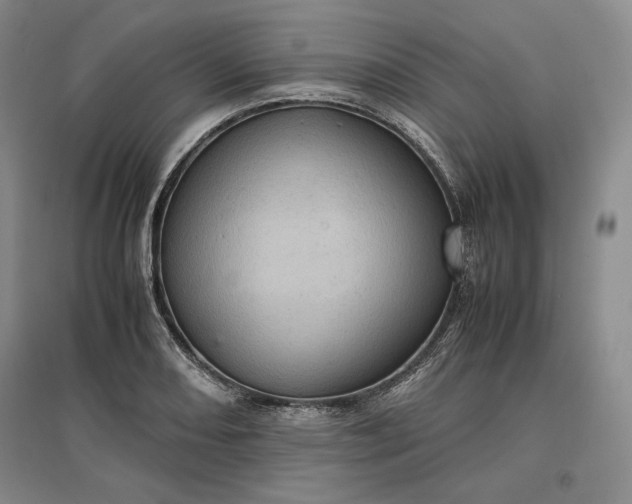 X0000096941082200802221314