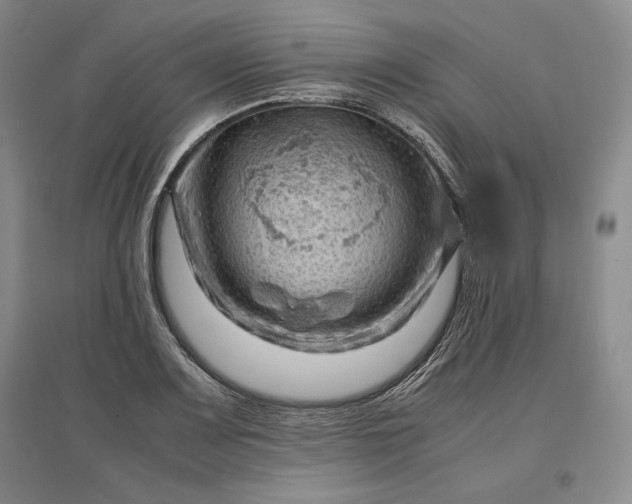 X0000096941083200802221314