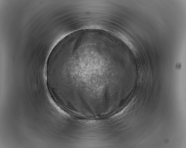 X0000096941084200802221314