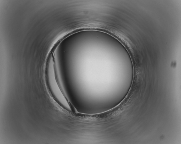 X0000096941085200802221314