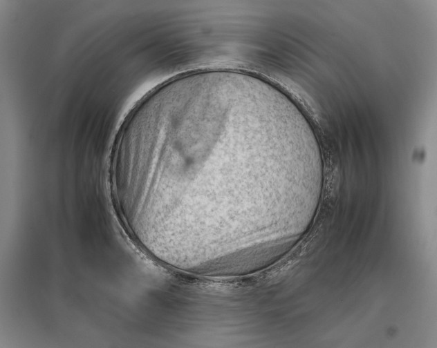 X0000096941086200802221314