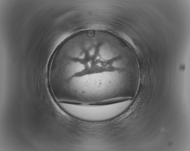 X0000096941087200802221314