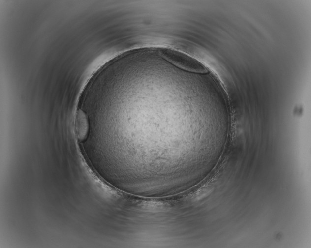 X0000096941088200802221314