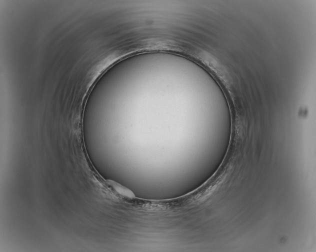 X0000096941089200802221314