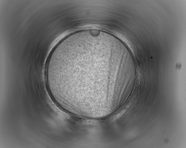 X0000096941090200802221314