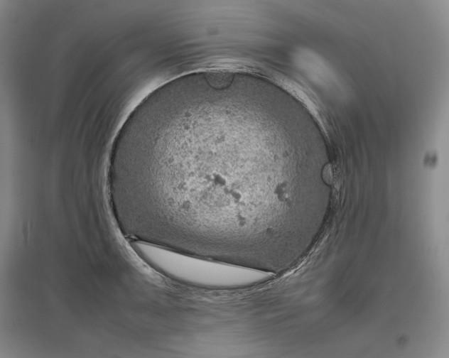 X0000096941091200802221314