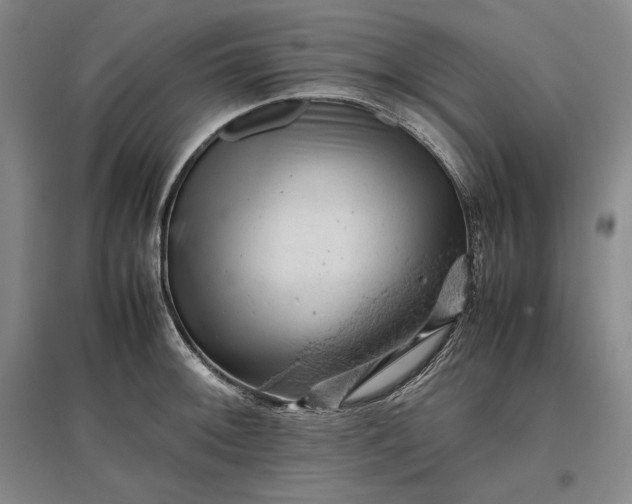 X0000096941092200802221314