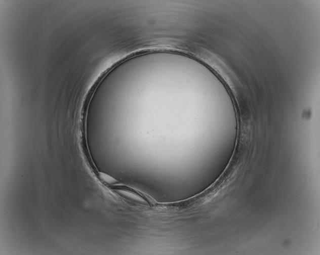 X0000096941093200802221314