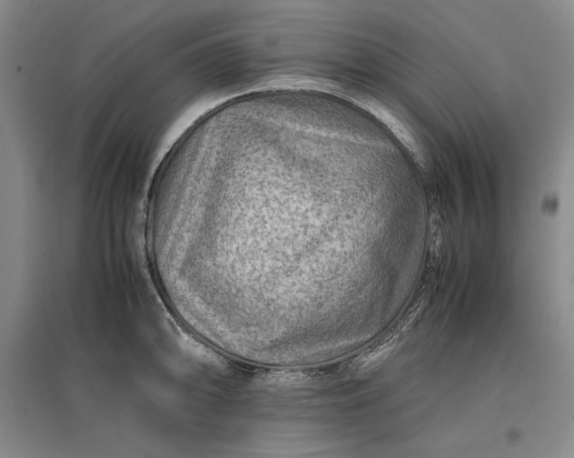 X0000096941094200802221314