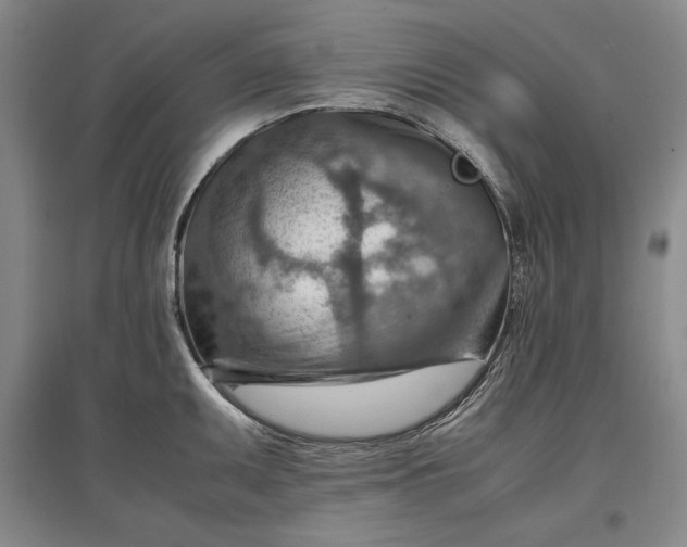 X0000096941095200802221314