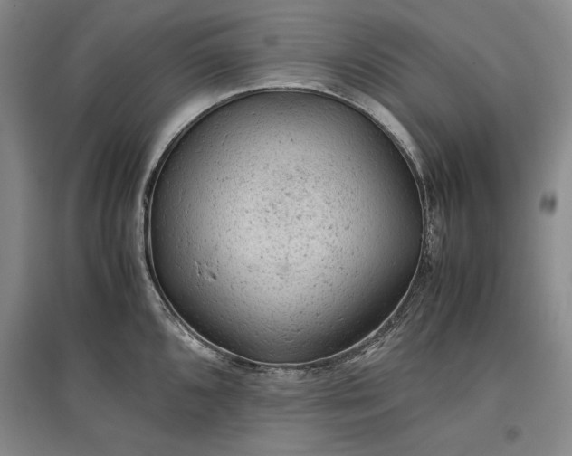 X0000096941096200802221314