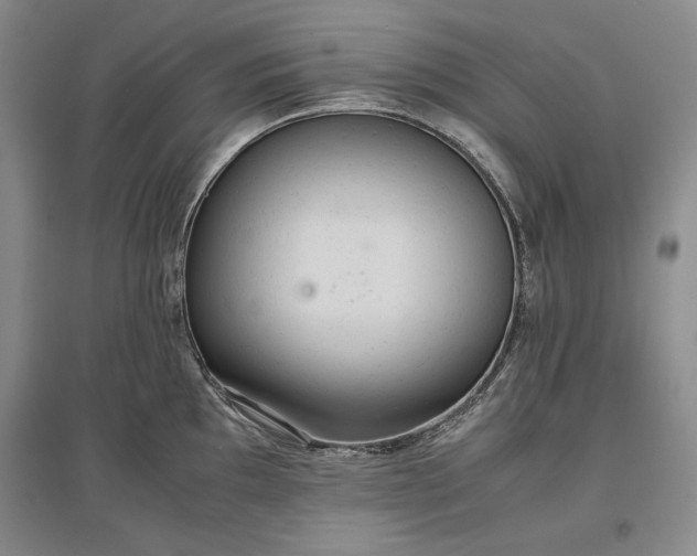 X0000096941097200802221314