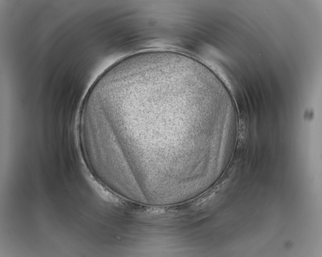 X0000096941098200802221314