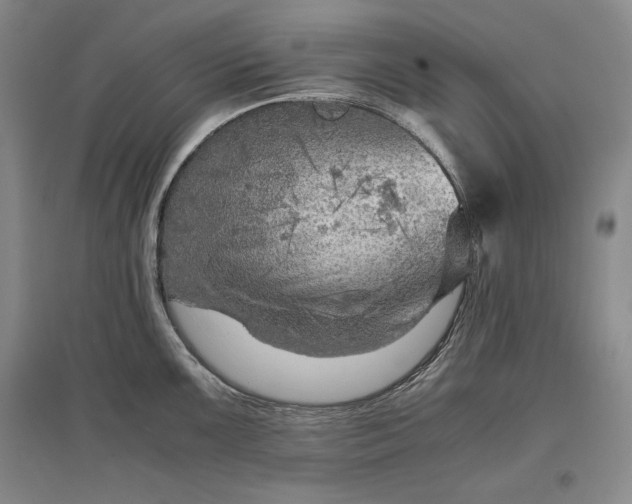 X0000096941099200802221314