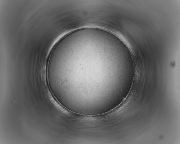 X0000096941100200802221314