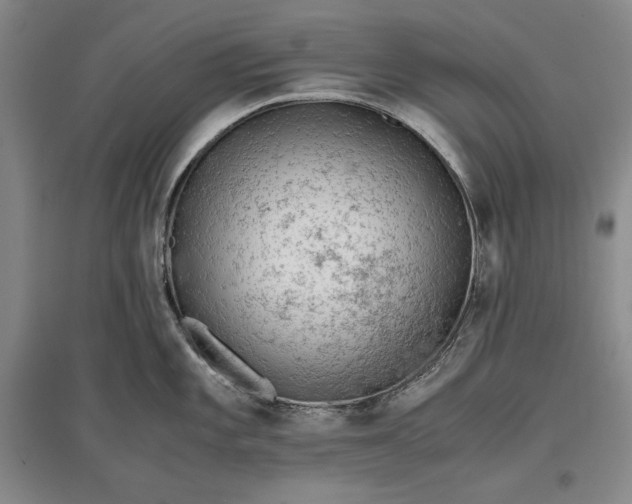 X0000096941101200802221314