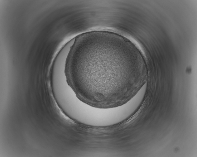 X0000096941102200802221314