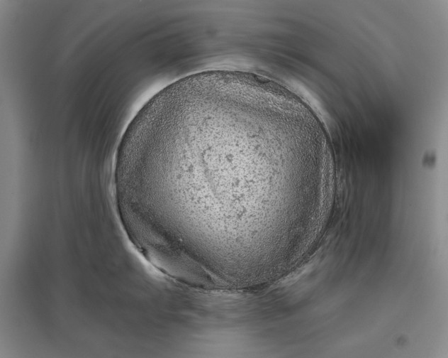 X0000096941103200802221314