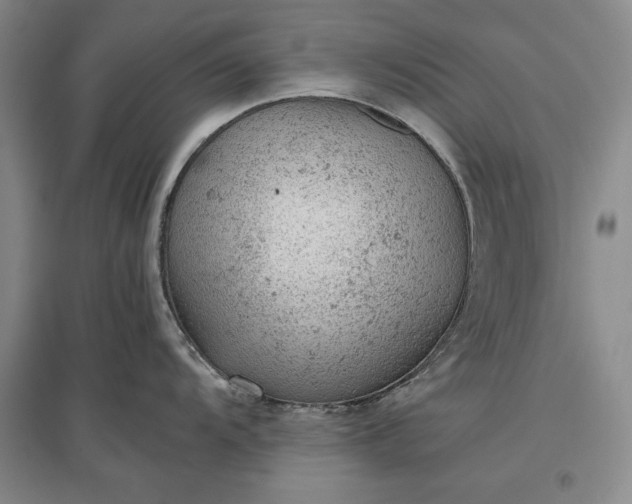 X0000096941104200802221314