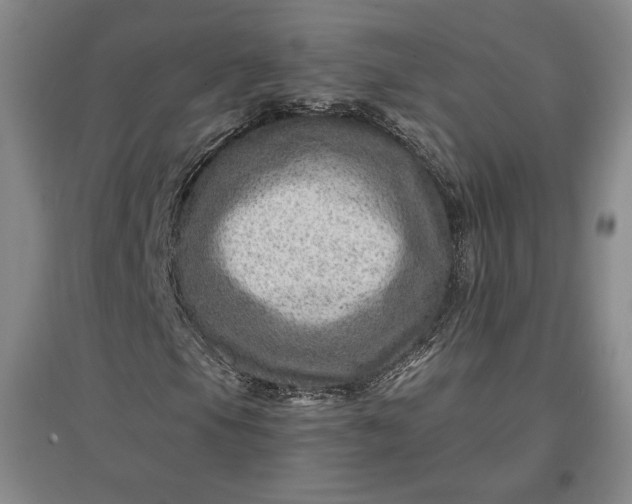 X0000096941105200802221313