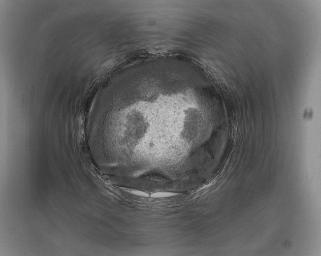 X0000096941106200802221313