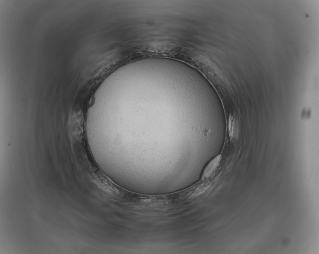 X0000096941107200802221313