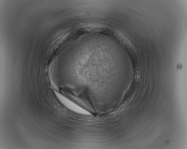 X0000096941108200802221313