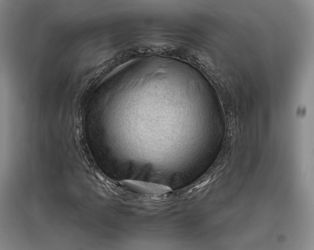 X0000096941109200802221313