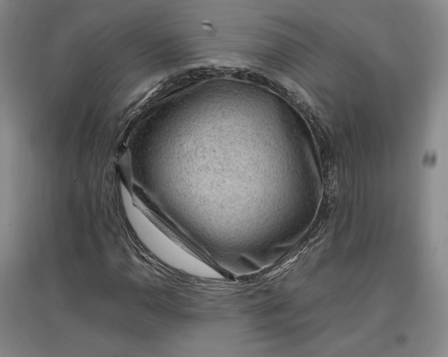 X0000096941110200802221313