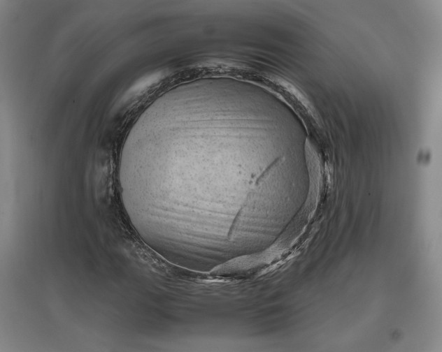 X0000096941111200802221313