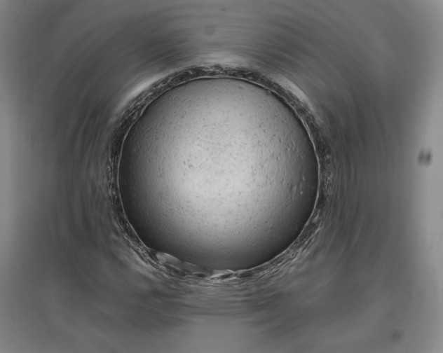 X0000096941112200802221313