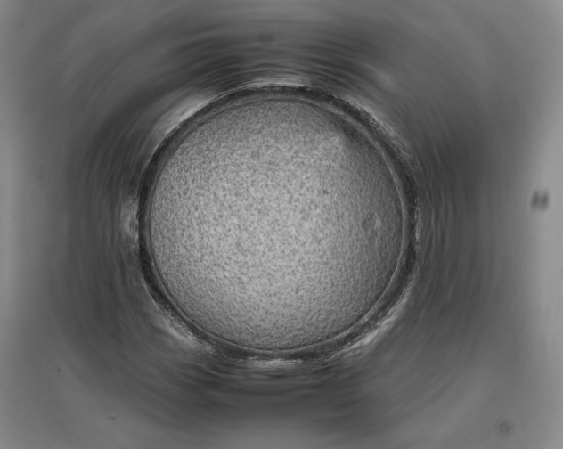 X0000096941113200802221313